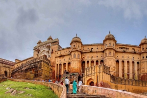 Delhi: Viaje de 7 días a Agra, Jaipur, Jodhpur y Pushkar