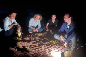 Pustynne safari w Tokio Nocne doświadczenie na pustyni Thar