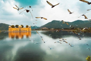 From Jaipur: Private Half-Day City Tour with Guide