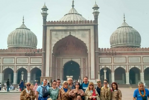 Złoty Trójkąt i Safari: Delhi, Agra, Jaipur i Safari 4D3N