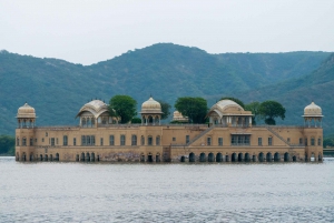 From Delhi: Jaipur Private Day Trip with Guide