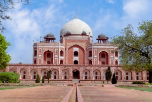 Fra Delhi: Privat 5 dages guidet tur i Den Gyldne Trekant
