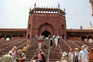 Fra Delhi: Privat 5 dages guidet tur i Den Gyldne Trekant