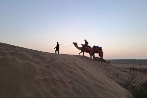 Jeep & kamelenrit, muzikale avond in het luxe kamp in de woestijn