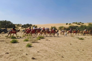 Jeep & kamelenrit, muzikale avond in het luxe kamp in de woestijn