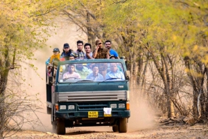 De Jaipur: Excursão guiada a Ranthambore com táxi