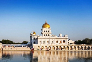 New Delhi: Full-Day Old and New Private Tour with Tickets