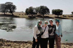 Nomadische 2 nachten 3 dagen niet-toeristische kameel- en woestijnsafari