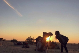 Nomadische 2 nachten 3 dagen niet-toeristische kameel- en woestijnsafari