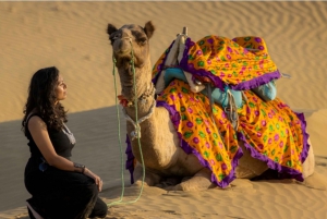 Passeio nômade não turístico com pernoite em camelo e safári no deserto