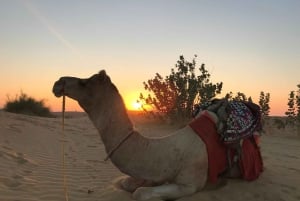 Nomadyczna nieturystyczna nocna wycieczka na wielbłądzie i pustynne safari