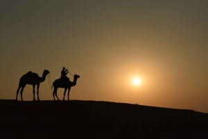 Circuit nomade non touristique avec nuit à dos de chameau et safari dans le désert