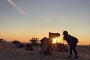 Nomadisk, ikke-turistisk kamel- og ørkensafari med overnatning