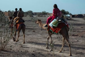 Nomadic Non-Touristic Overnight Camel & Desert Safari Tour