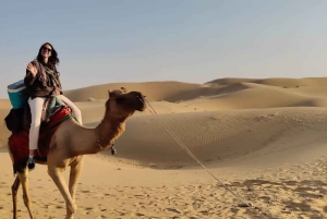 Nomadinen, ei-turistinen yön yli kestävä kameli- ja aavikkosafari