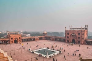 Old and New Delhi: Full-Day Guided Tour with Transfers