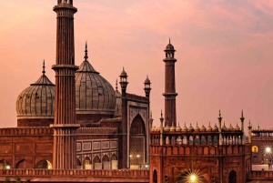 Old and New Delhi: Private UNESCO Sightseeing City Tour
