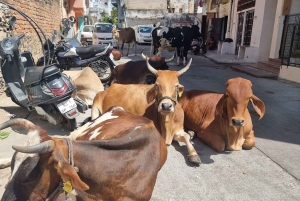 Heritage Walk with Culture, History & local taste experience