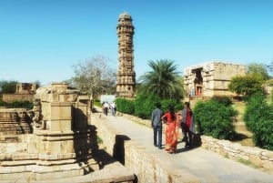 Udaipur: Guided Day Trip to Chittorgarh Fort