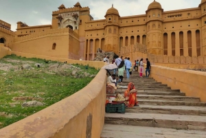 Visita de un día a la Ciudad Rosa de Jaipur con Guía