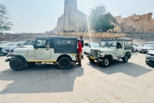 Enkele reis stadstransfer tussen Delhi en Jaipur