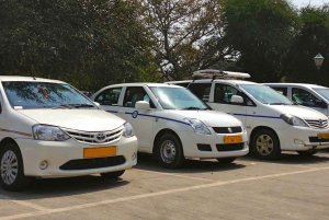 En-vejs overførsel : Delhi til Agra & Jaipur i privat bil