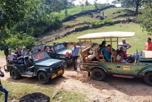 Usługa transferu w jedną stronę z Agry do Ranthmbore