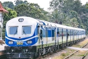 Envejstransport fra Jaipur til Pushkar