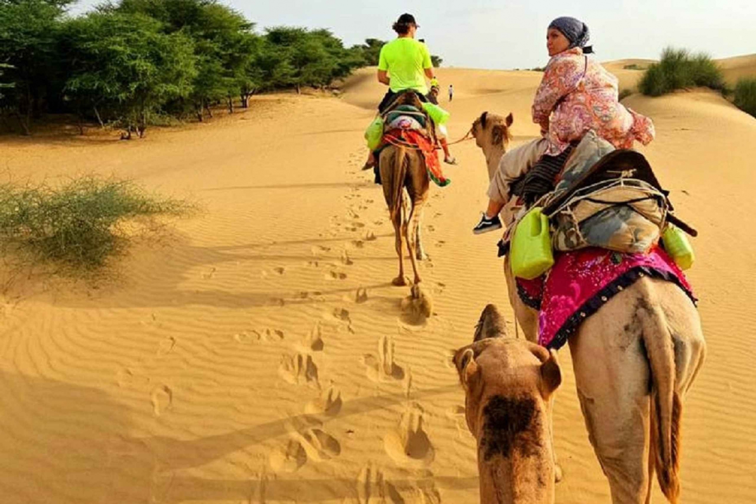 Overnight Camel Safari Non Touristic Deep Desert