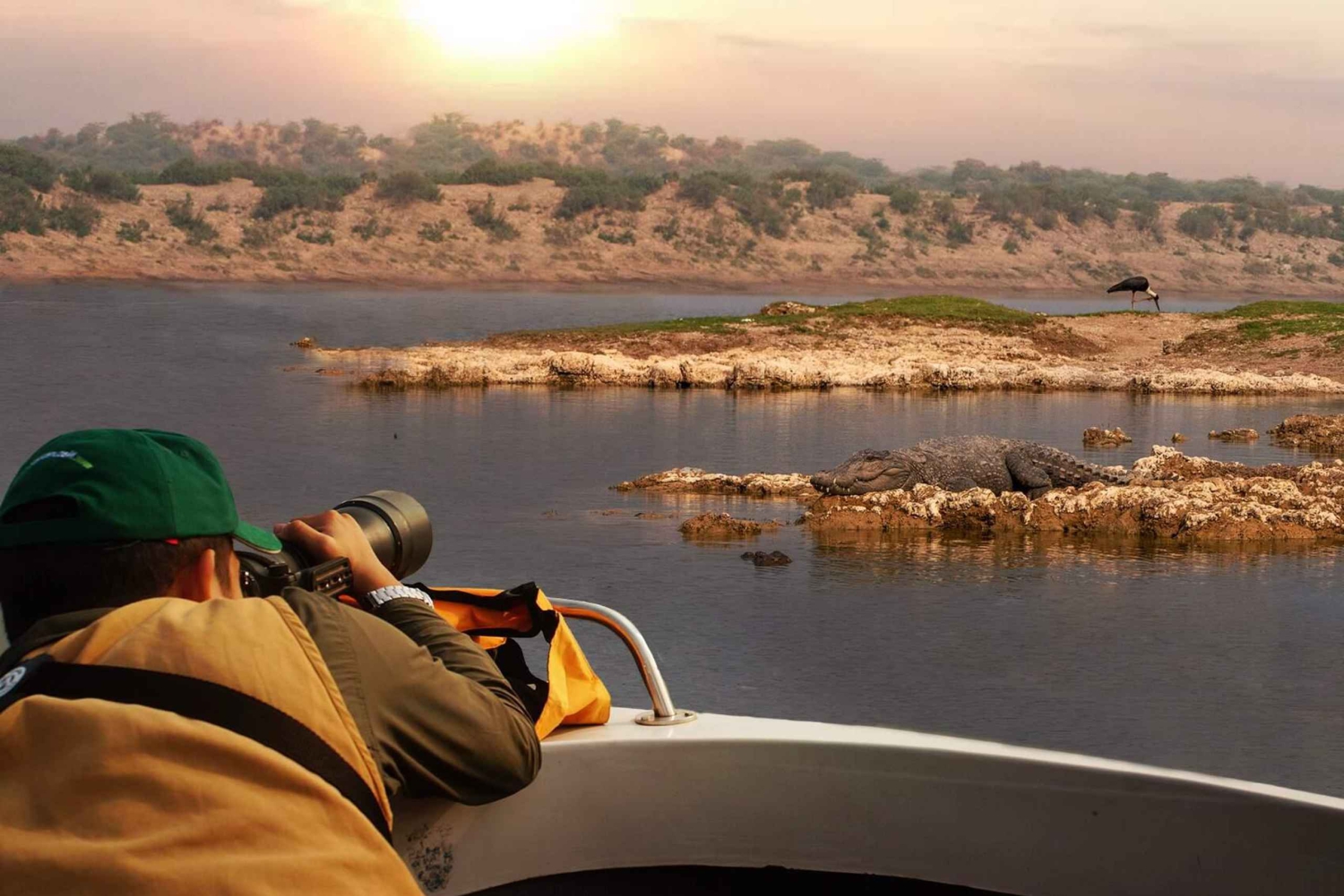 パリゴット・チャンバル・クロコダイル・ボート・サファリをお楽しみください