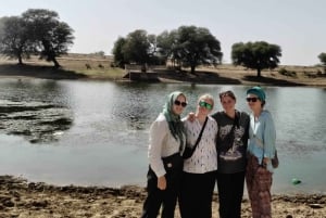 Насладитесь миллиардами звезд в пустыне и сафари на верблюдах.