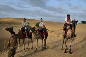 Насладитесь миллиардами звезд в пустыне и сафари на верблюдах.