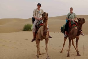 Насладитесь миллиардами звезд в пустыне и сафари на верблюдах.