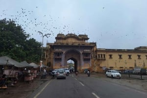 Excursão a pé pela cidade rosa com a gente (uma caminhada histórica em Jaipur)