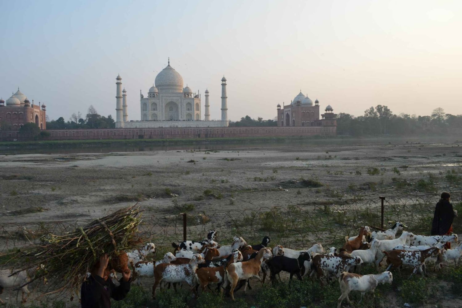 Tour privado de 7 días por Delhi, Jaipur, Agra y Varanasi