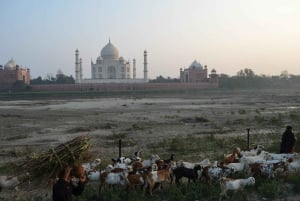 Tour privado de 7 días por Delhi, Jaipur, Agra y Varanasi