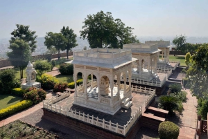 Privat dagstur till Jodhpur med lunch