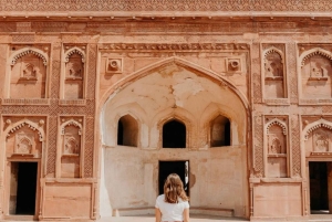 Privat dagstur till Taj Mahal & Agra Fort från Jaipur