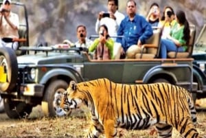 Excursión Privada de un Día con Safari en Tigre desde Jaipur Todo Incluido