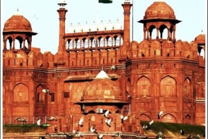 Privat heldagstur i det gamle og nye Delhi