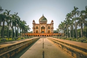 Privat heldagstur i det gamle og nye Delhi