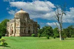 Privat heldagstur i det gamle og nye Delhi