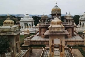 Jaipur: Passeio turístico de 1 dia e Hawa Mahal, excursão ao Palácio da Cidade