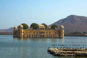 Jaipur: Passeio turístico de 1 dia e Hawa Mahal, excursão ao Palácio da Cidade