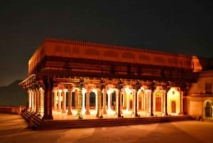 Jaipur: Passeio turístico de 1 dia e Hawa Mahal, excursão ao Palácio da Cidade