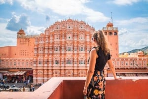 Jaipur: Passeio turístico de 1 dia e Hawa Mahal, excursão ao Palácio da Cidade