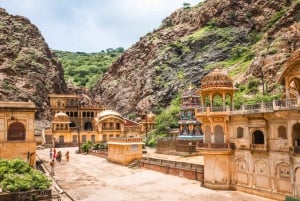 Jaipur: Passeio turístico de 1 dia e Hawa Mahal, excursão ao Palácio da Cidade