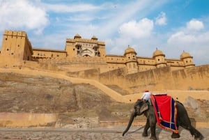 Jaipur: Passeio turístico de 1 dia e Hawa Mahal, excursão ao Palácio da Cidade