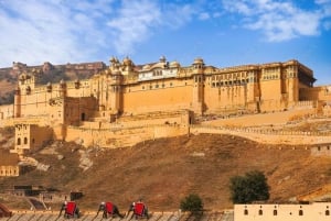 Jaipur: Passeio turístico de 1 dia e Hawa Mahal, excursão ao Palácio da Cidade