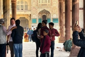 Jaipur: Passeio turístico de 1 dia e Hawa Mahal, excursão ao Palácio da Cidade